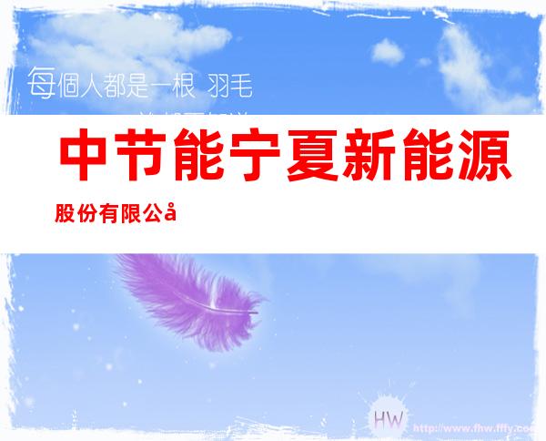 中节能宁夏新能源股份有限公司石炭井瓦斯电站