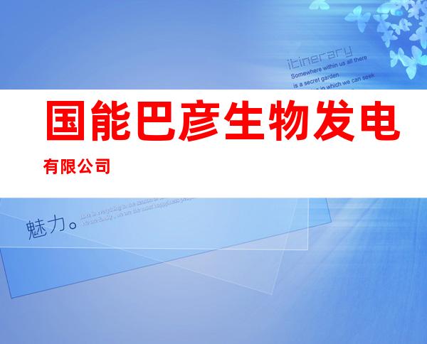 国能巴彦生物发电有限公司