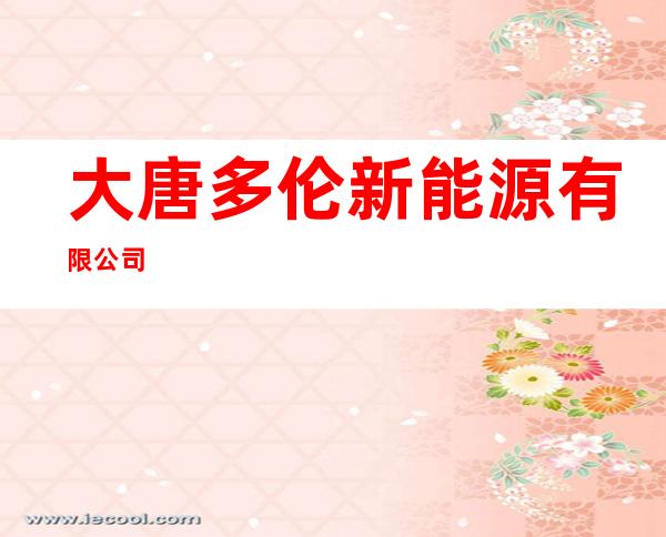 大唐多伦新能源有限公司