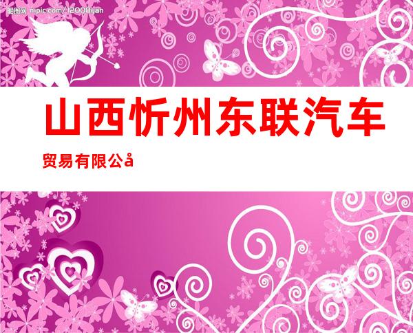 山西忻州东联汽车贸易有限公司