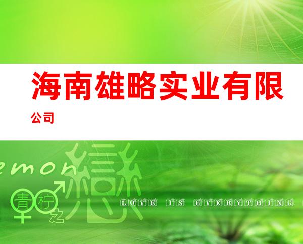 海南雄略实业有限公司